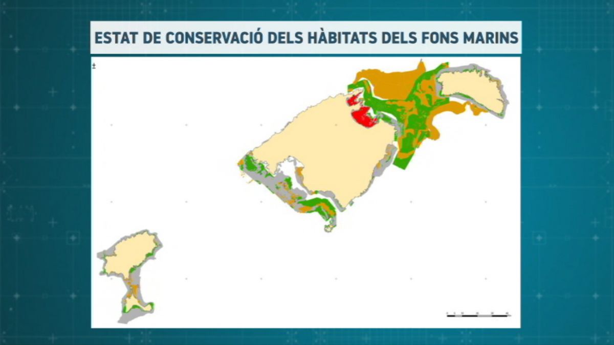 La primera cartografia unificada del fons marí balear