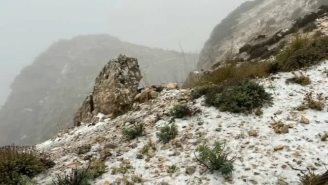 Les primeres flòbies de neu arriben al Puig Major