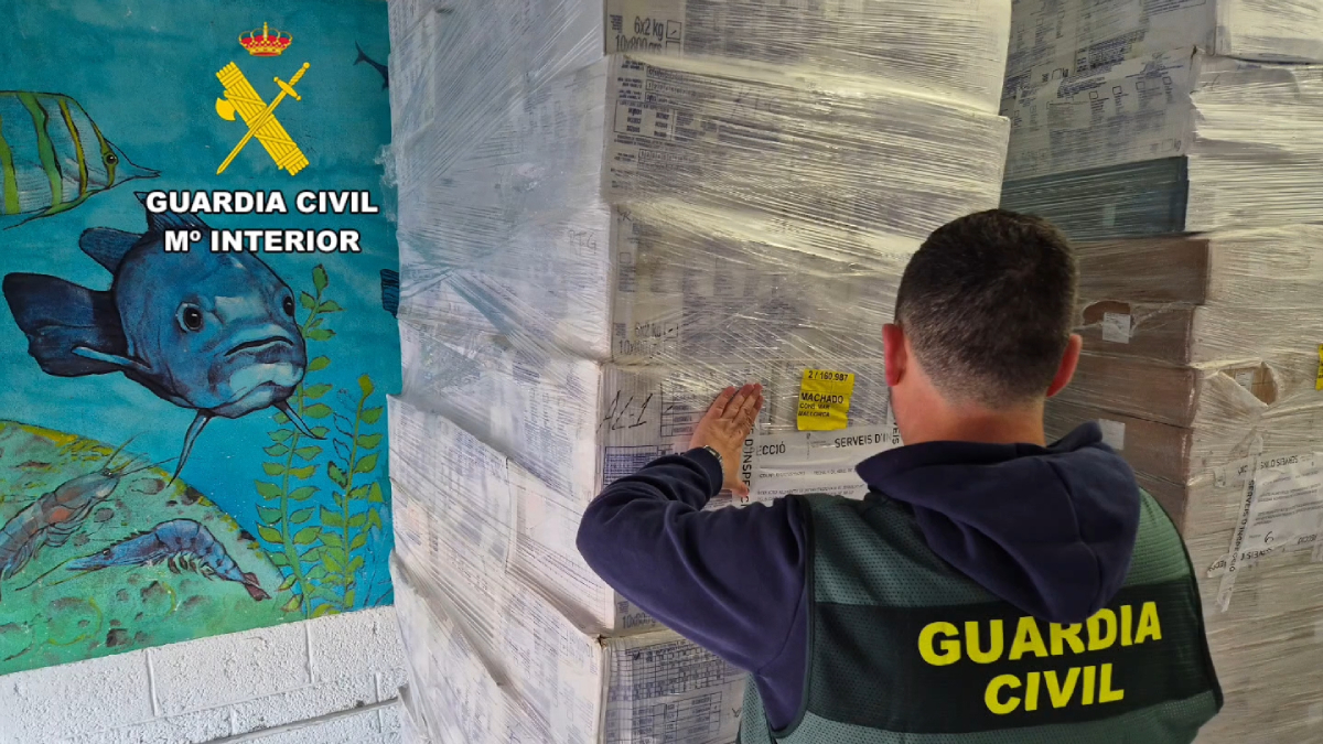 Trobats 20 tones de marisc i peix caducats a una distribuïdora de Palma