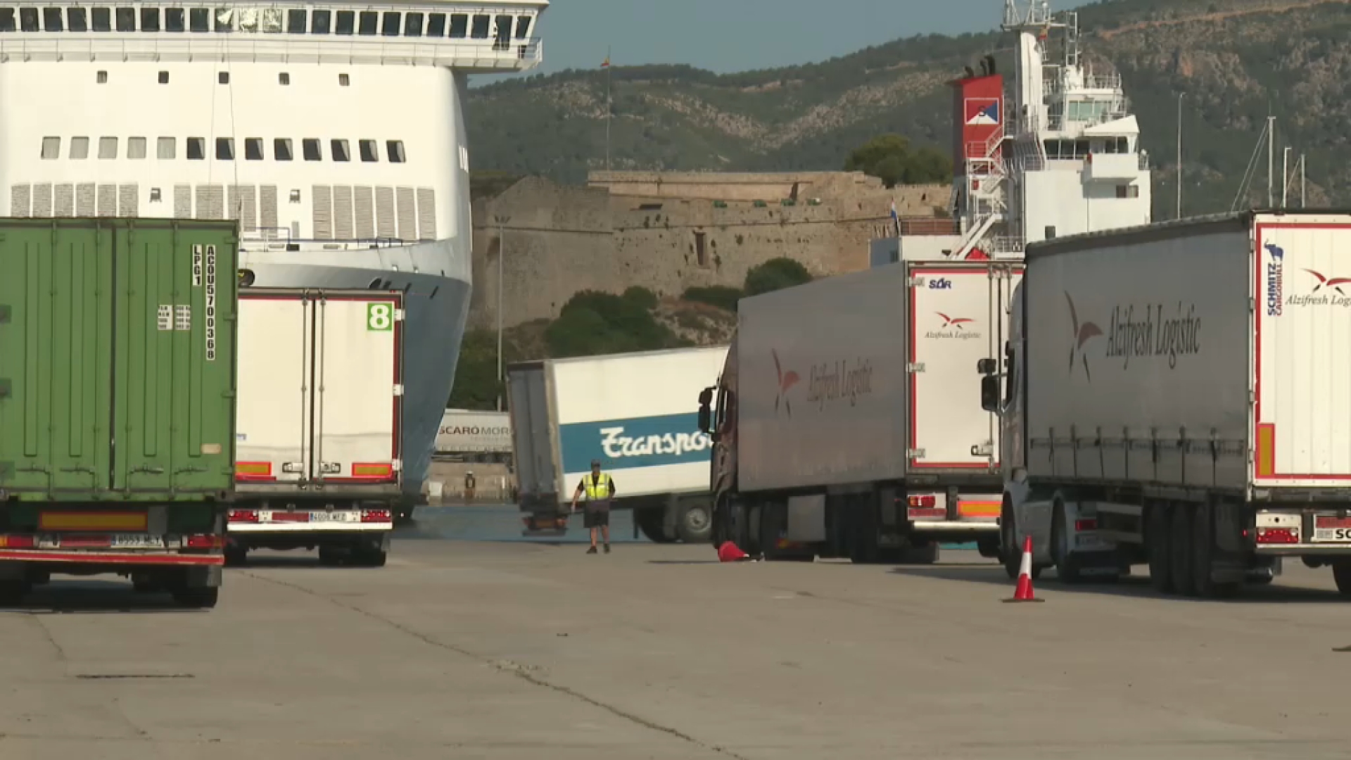 Cans trobats morts a un vaixell: se seguiren tots els protocols i precaucions, segons l’empresa de transports