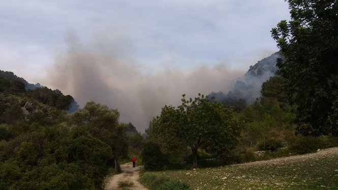 Declarat un incendi forestal a So n’Ordines, a Alaró