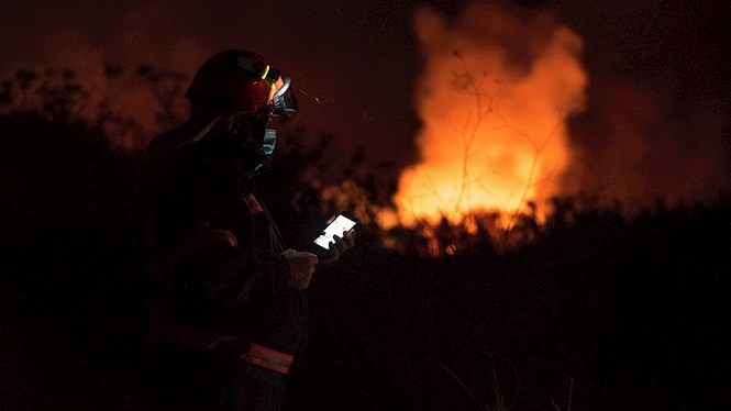 Les imatges del pitjor incendi al Parc Natural de s’Albufera en els darrers 10 anys