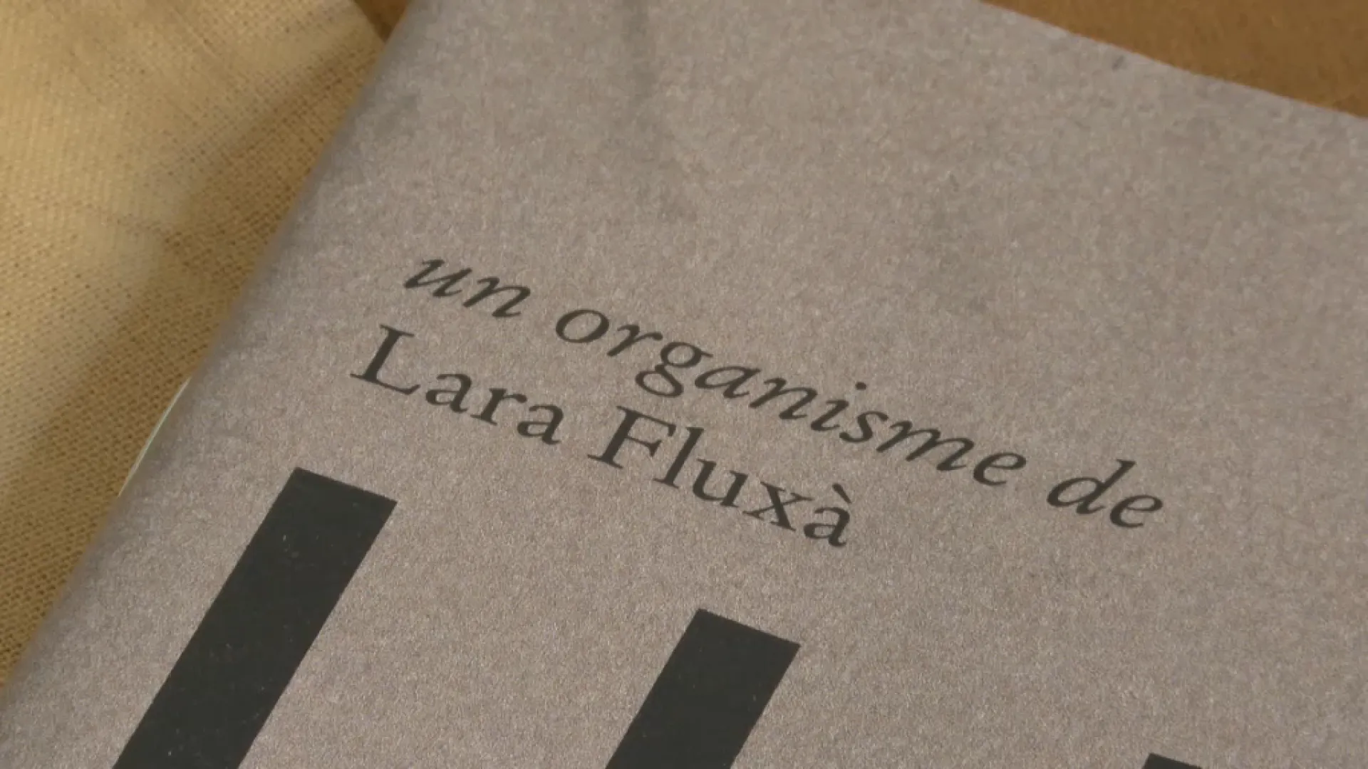 Comença la instal·lació del projecte de Lara Fluxà a la Biennal de Venècia