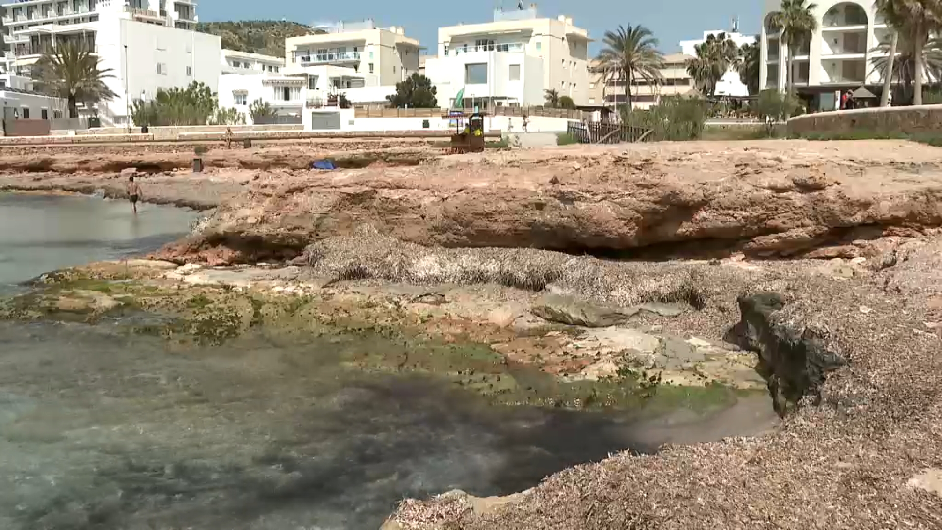 L’Ajuntament de Sant Antoni defensa el seu no tancament al bany del Caló des Moro pel darrer vessament