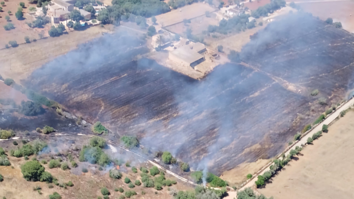 Investiguen l’origen d’un incendi a una zona agrícola de Campos