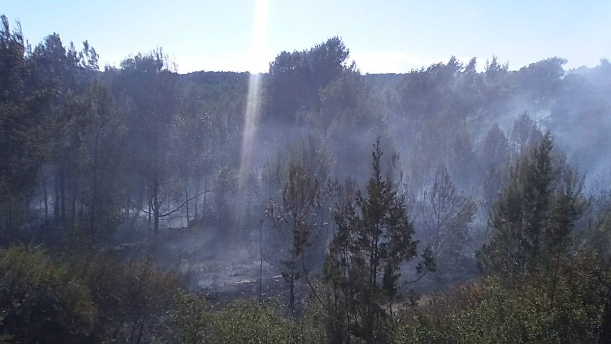 Controlat un incendi a Santa Gertrudis, a 100 m de cases i a 300 d’una benzinera