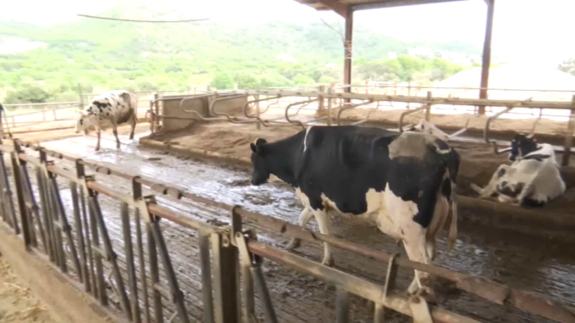 Els Joves Agricultors, preocupats per un eventual tancament d’AGAMA