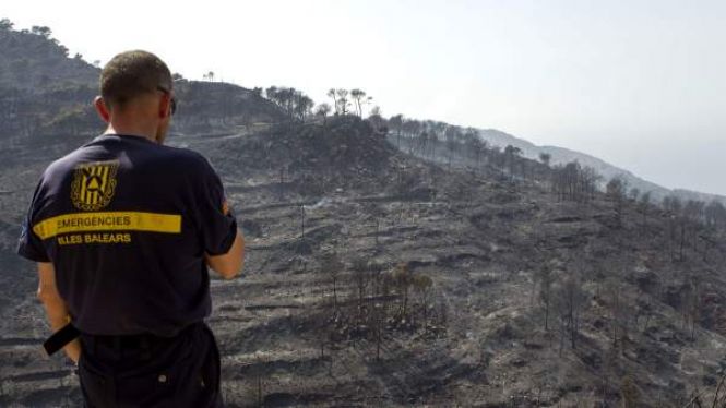 El judici de l’incendi a la Serra l’any 2013 serà de l’11 al 15 de novembre