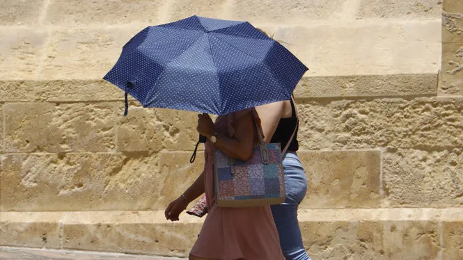 Formentera, Porreres i Calvià registren rècords de temperatures màximes