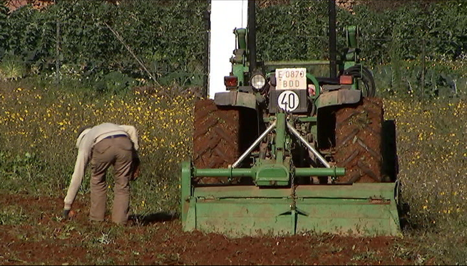 Preocupació entre agroturismes pitiüsos per la posada en marxa de la nova Llei agrària