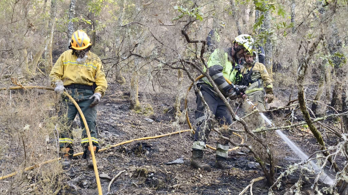 Baixa a 13 el nombre d’incendis a la Península, a Galícia, Castella i Lleó i Astúries