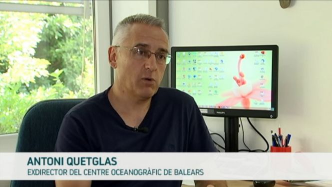 Dimiteix+Antoni+Quetglas%2C+el+director+del+Centre+Oceanogr%C3%A0fic+de+les+Illes
