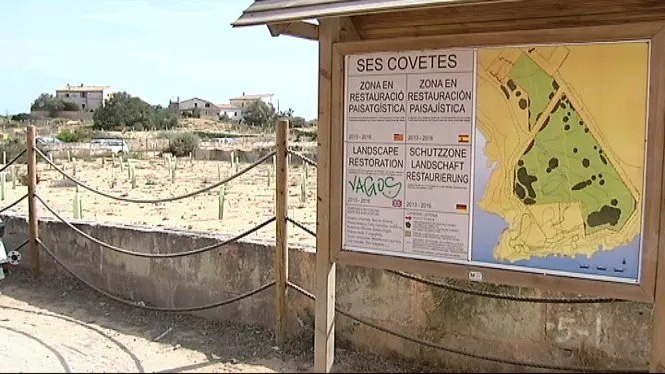 Protegides 156 hectàrees a Son Gual, Xorrigo, cala des Jondal, es Trenc i ses Covetes