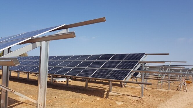 “Llibertat Llucmajor” demana la paralització dels projectes de parcs fotovoltaics