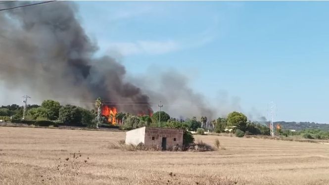 Incendi agrícola a Manacor