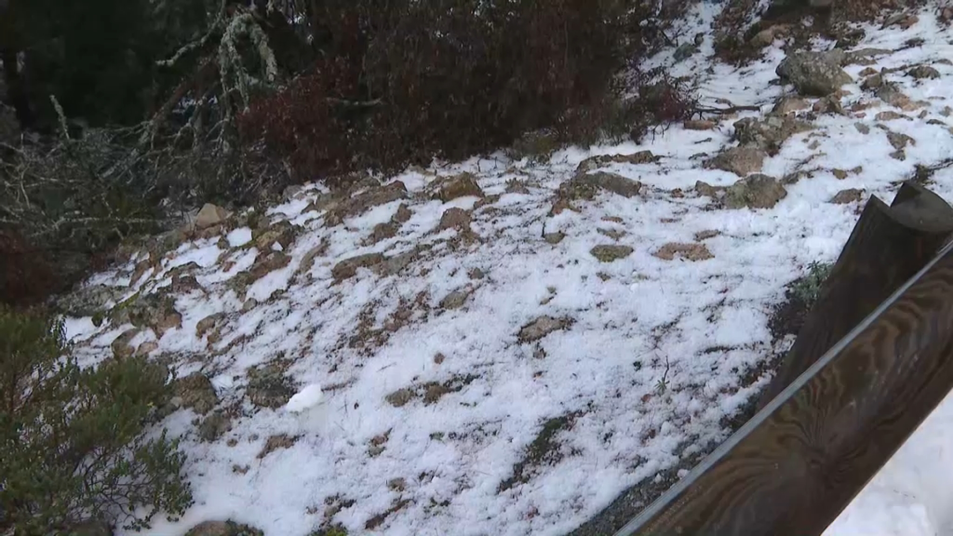 Divendres de ple hivern