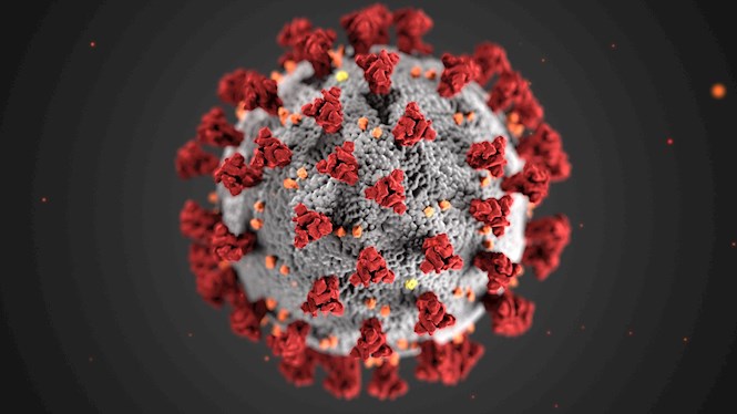Dos nous contagis de coronavirus a les Illes (2.039 en total) i cap nova defunció