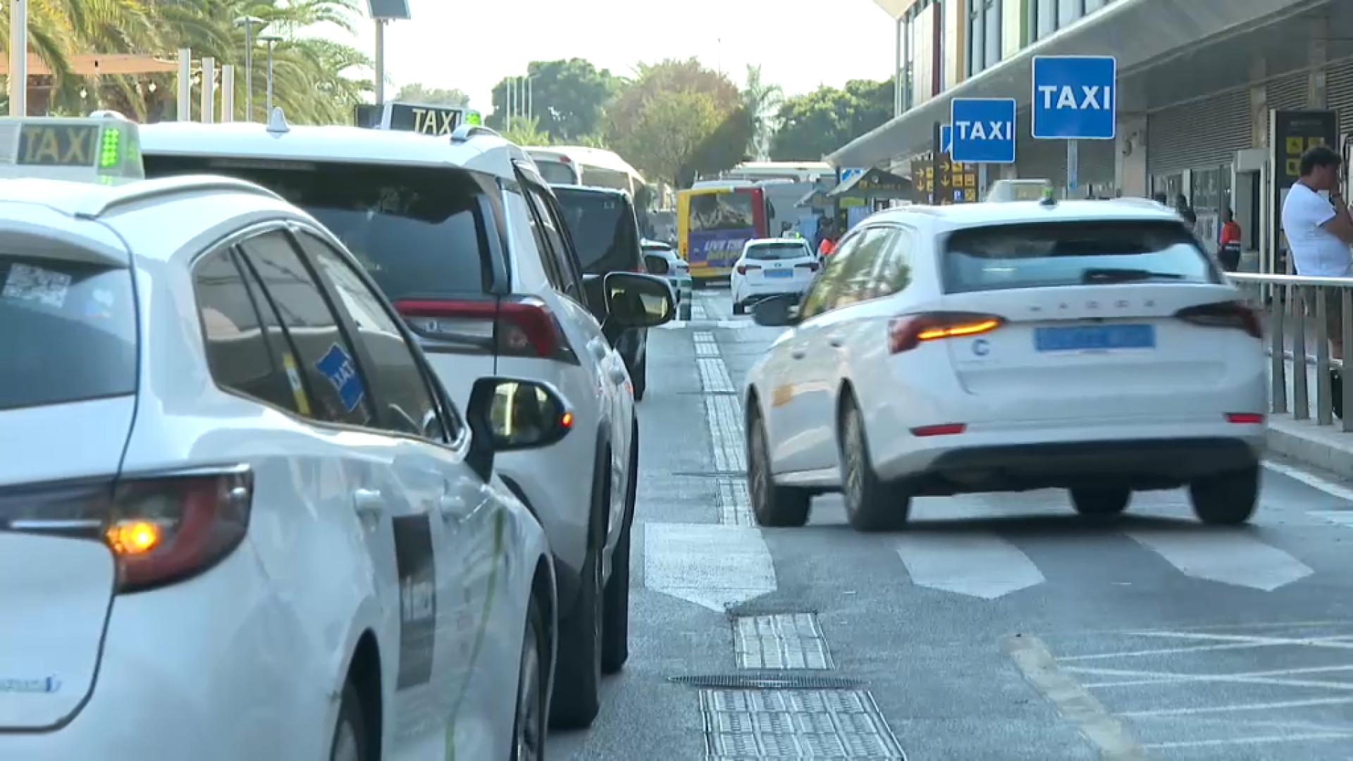 Els taxistes denuncien el col·lapse de trànsit de l’aeroport d’Eivissa