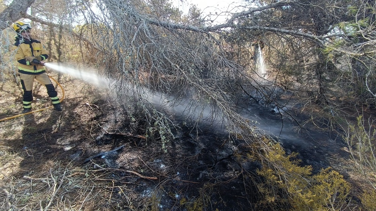 Extingit l’incendi forestal declarat a Formentera