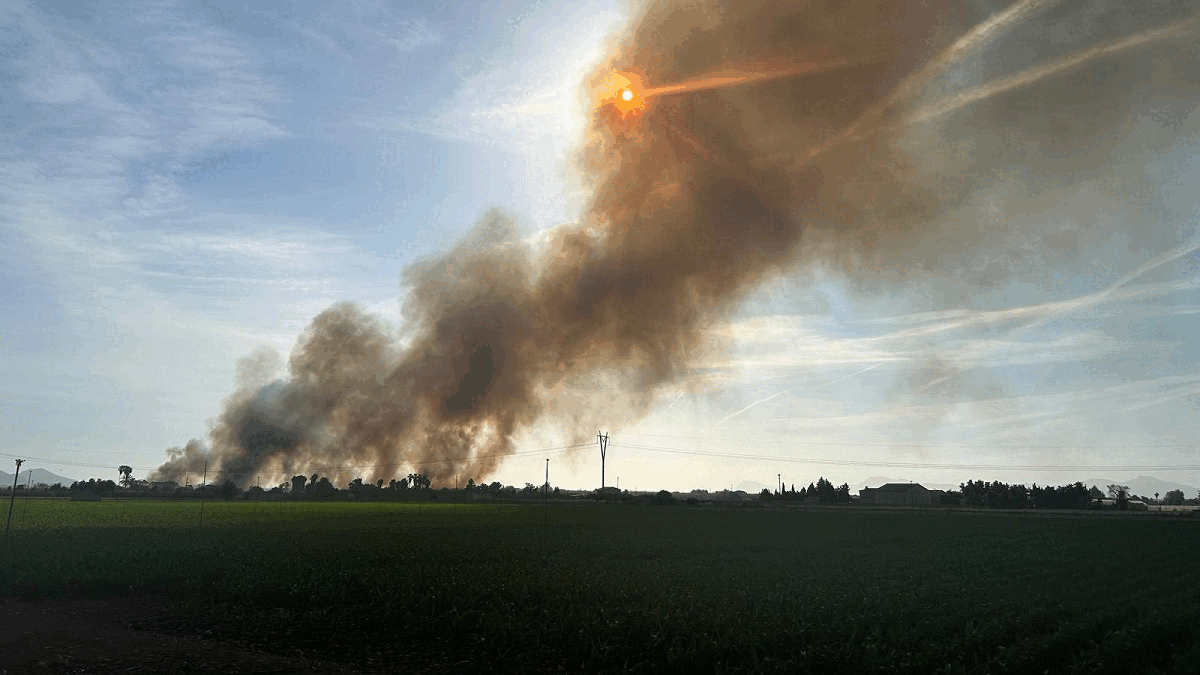 Controlat 13 hores després: l’incendi de s’Albufera ja ha cremat 50 hectàrees de canyet
