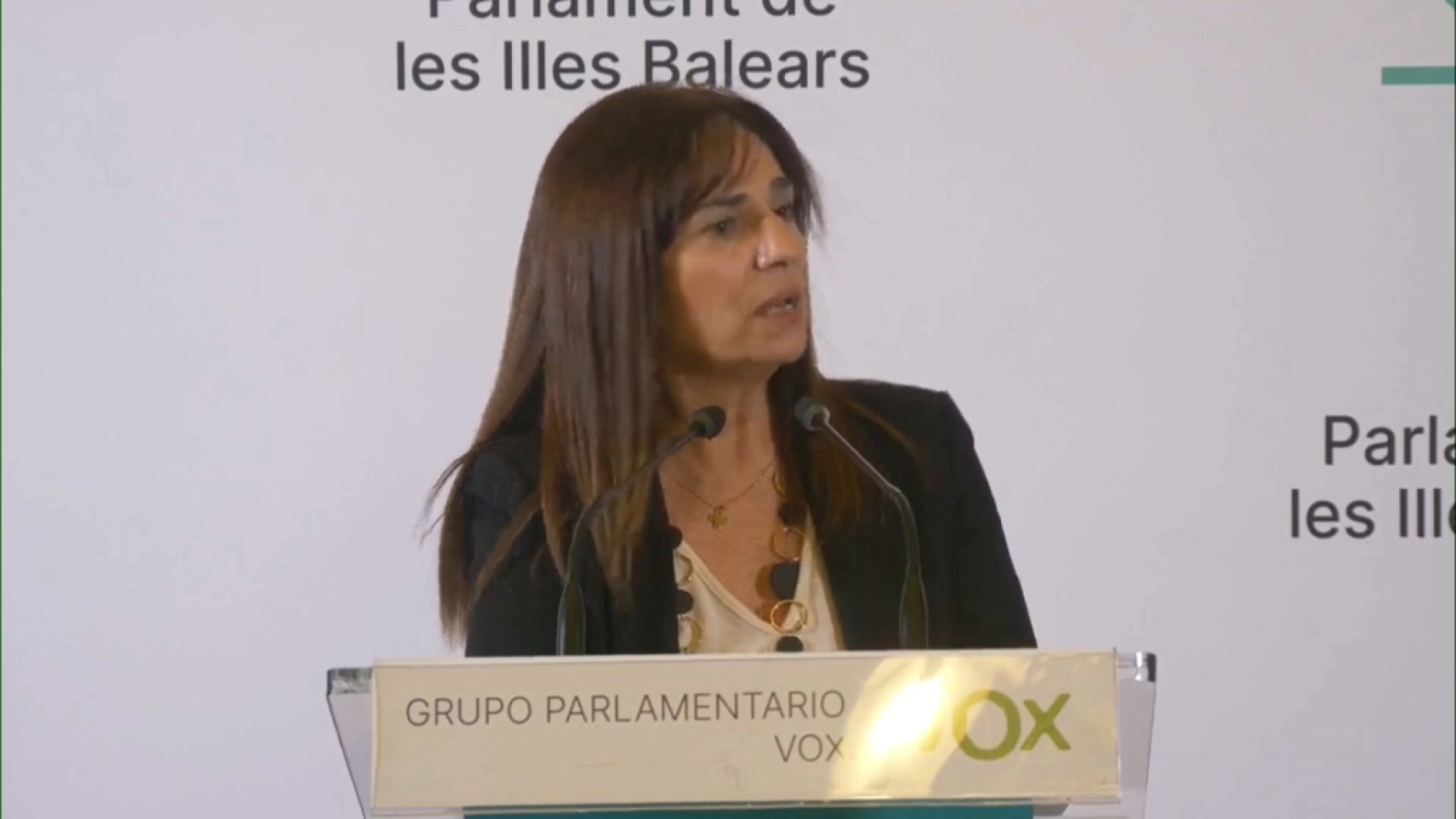 Vox votarà en contra de l’esmena del PP sobre les dietes als consellers per assistir als plens del Parlament