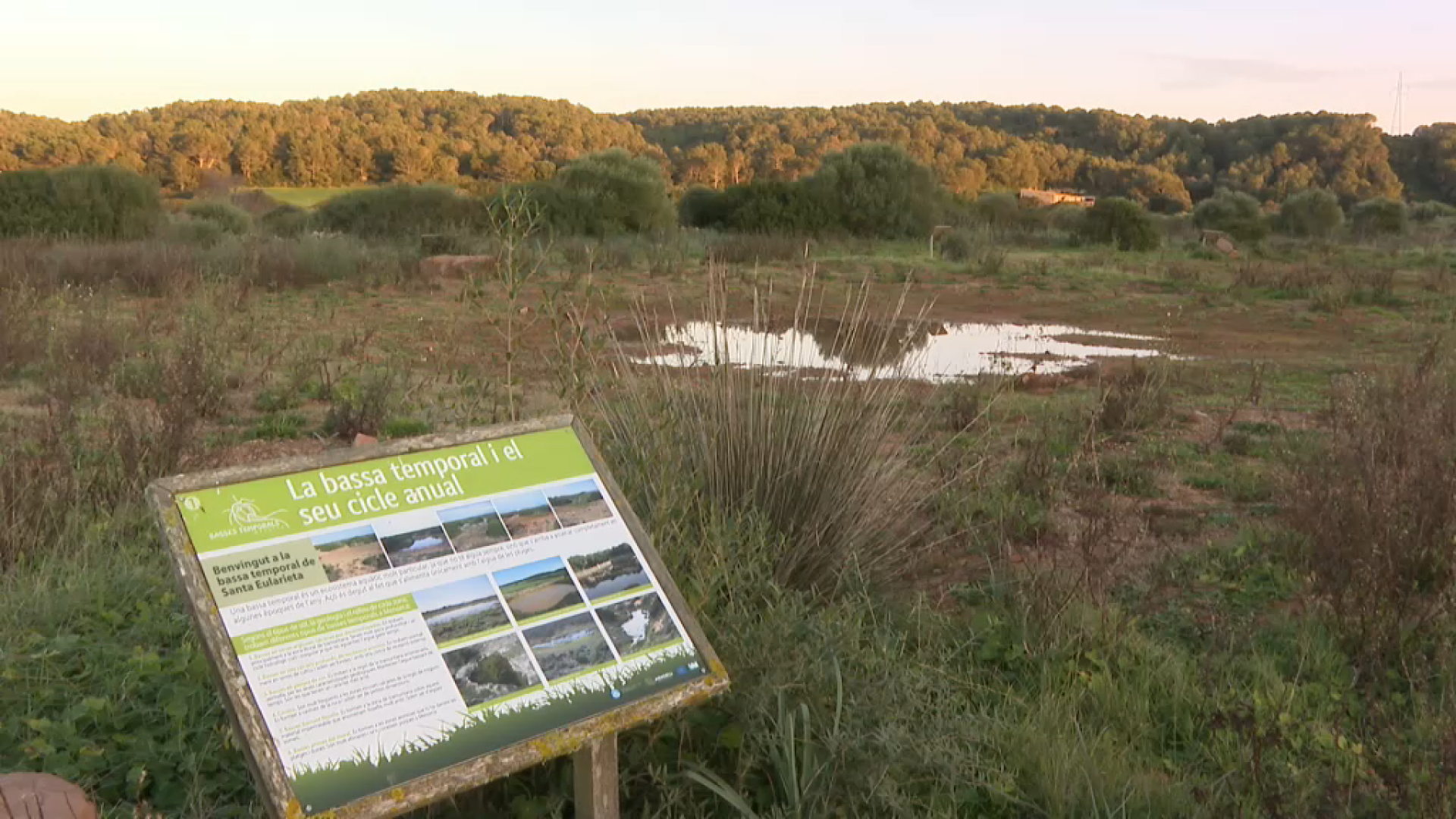 El+Consell+de+Menorca+rehabilita+dues+rutes+naturals+a+la+finca+de+Santa+Eularieta