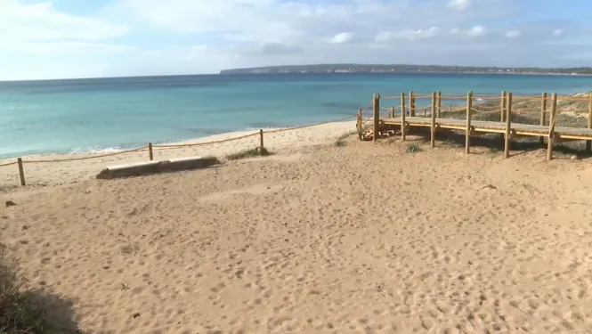 Els antics gestors dels quiosquets de platja a Formentera podrien repetir la pròxima temporada