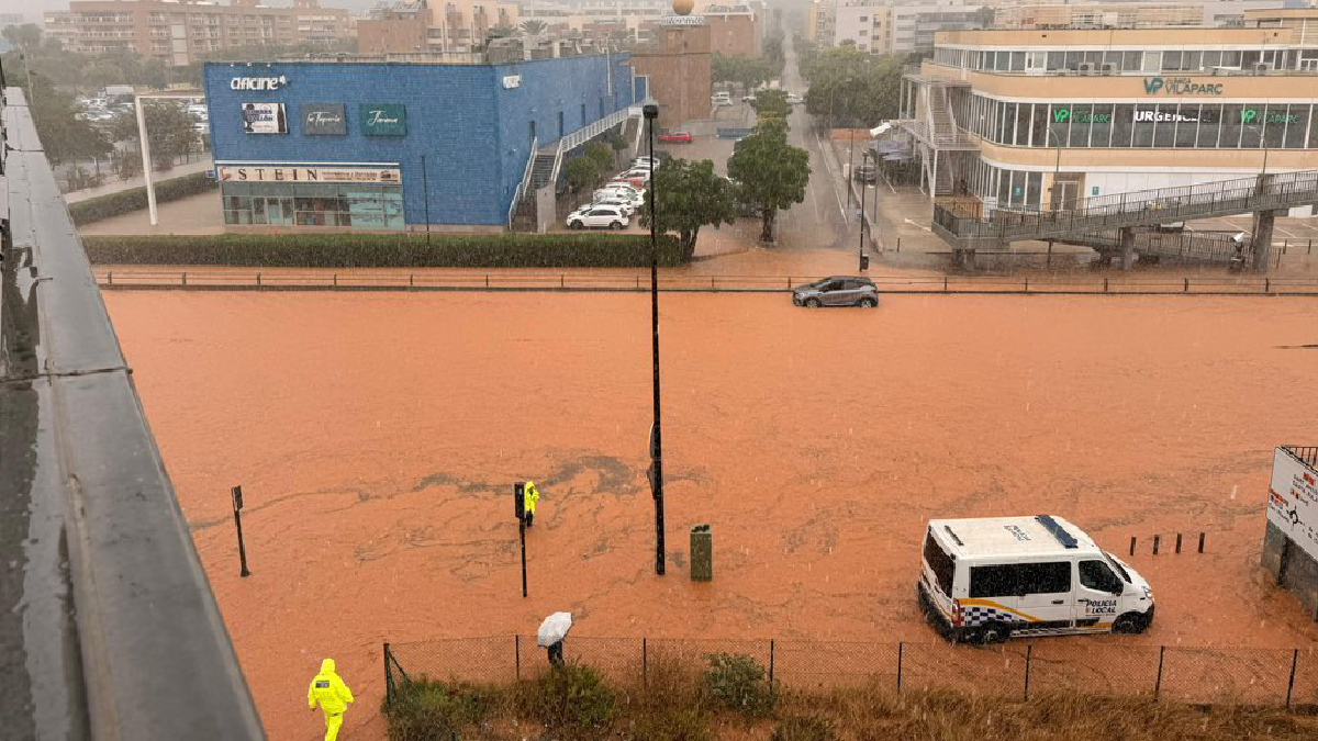 Eivissa col·lapsada: totes les vies tallades