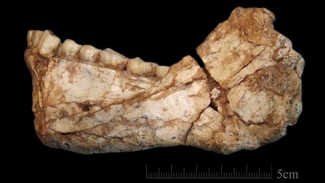 Troben al Marroc les restes de l’Homo sapiens més antigues del món
