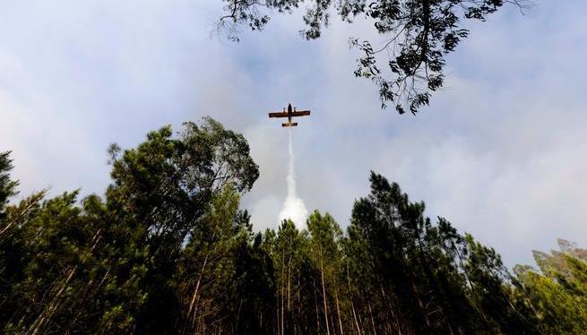 Portugal nega ara que s’hagi estavellat un avió contra incendis a Pedrógão Grande