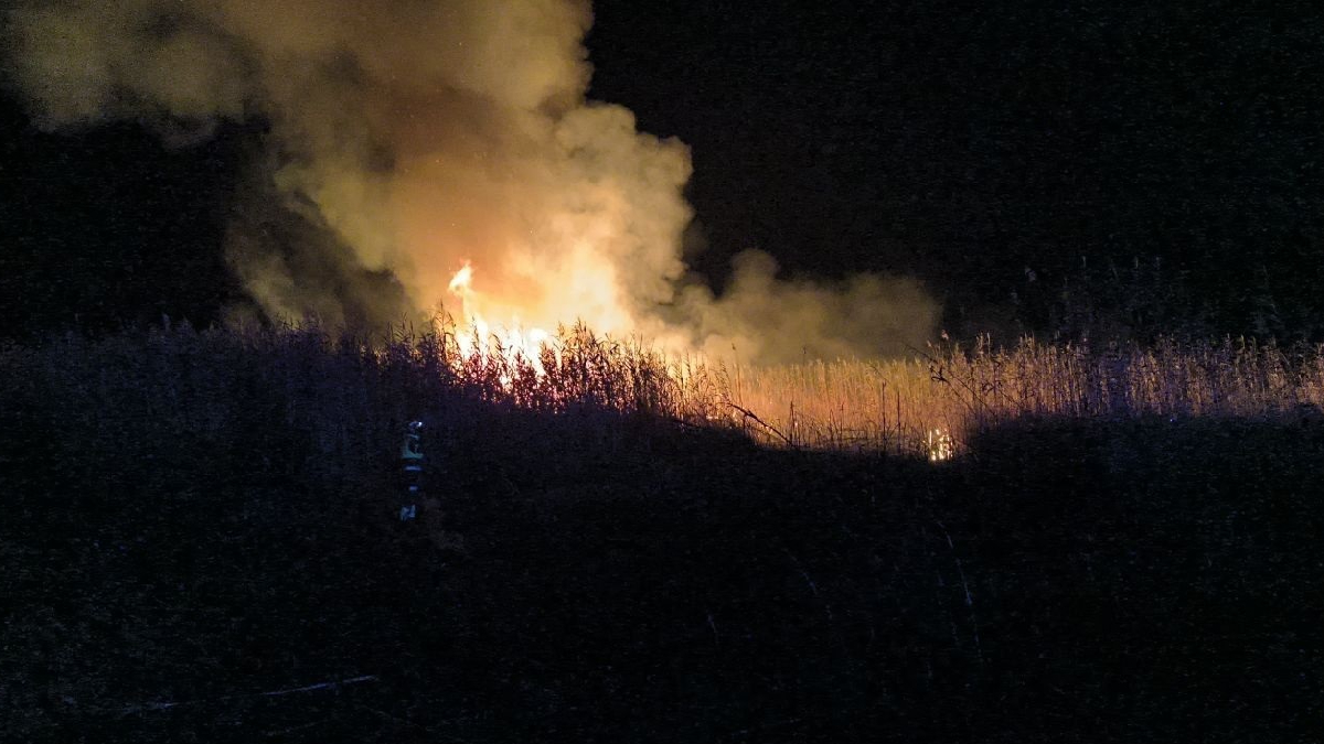 Extingit un incendi a s’Albufera amb sis focus declarat anit passada