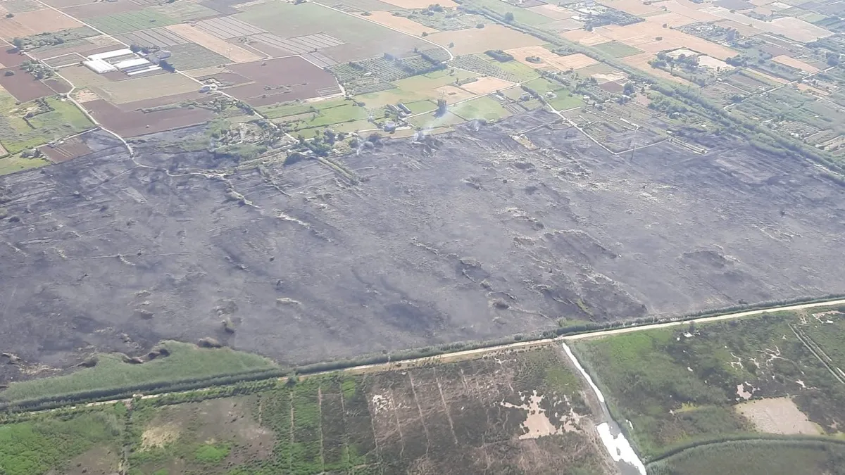 Extingit l’incendi forestal a s’Albufera, on ha cremat més de 50 hectàrees de canyet