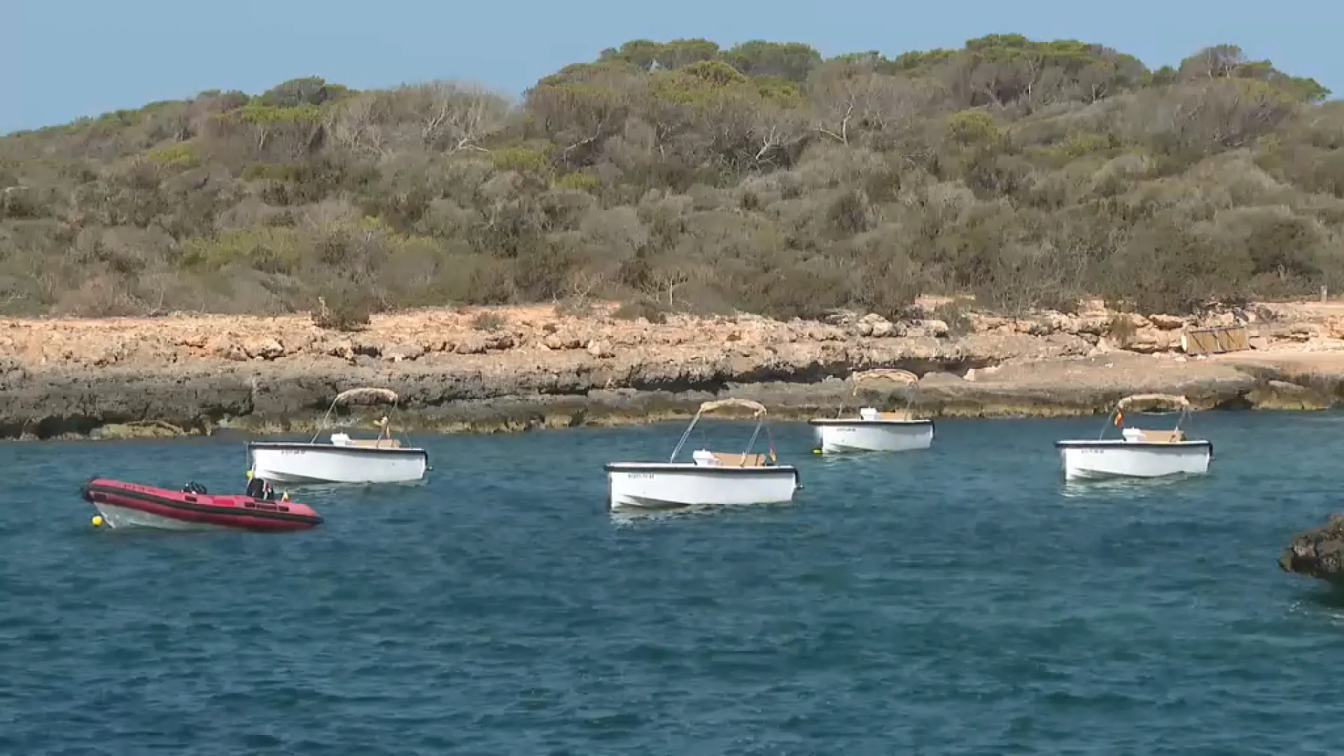 Denuncien una empresa de lloguer de barques per habilitar un moll en una cala a prop de la platja de Son Saura