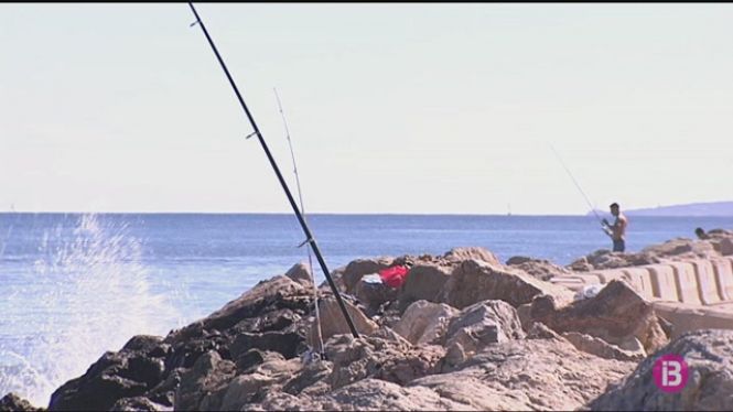 El servei de vigilància pesquera de Menorca ha posat 42 multes per pesca il·legal durant el 2018