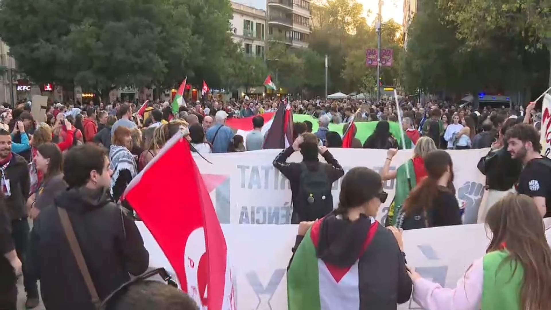 Milers+de+persones+a+les+Balears+surten+en+suport+a+Palestina+i+exigeixen+el+boicot+a+Israel