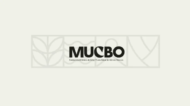 El MUCBO es prepara per a una renovació total dels espais expositius