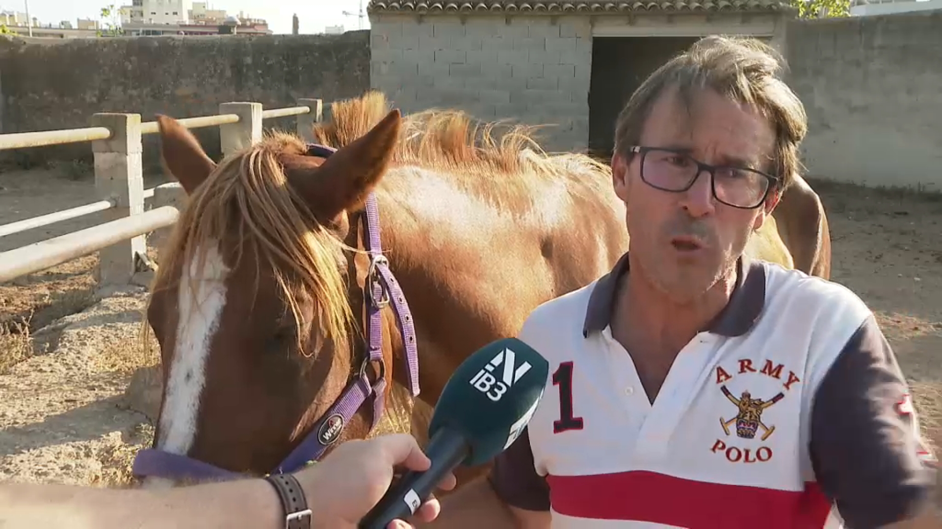 La policia recupera l’egua de competició, valorada en més de 10.000 euros, robada a Palma