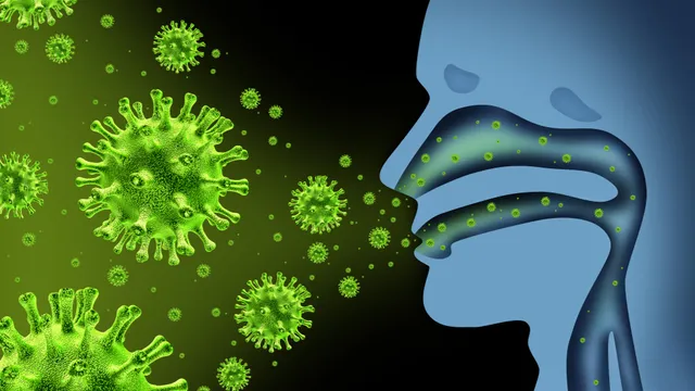 Els experts alerten de més morts i casos de grip enguany: “No ens hem exposat a la grip des de fa gairebé dos anys i hem perdut la immunitat”