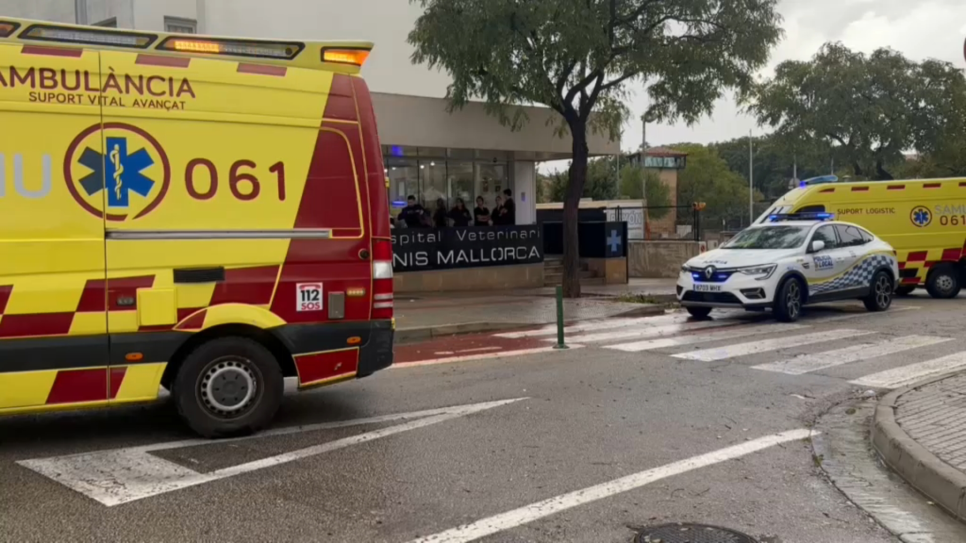 Pres%C3%B3+provisional+per+apunyalar+un+home+a+Palma