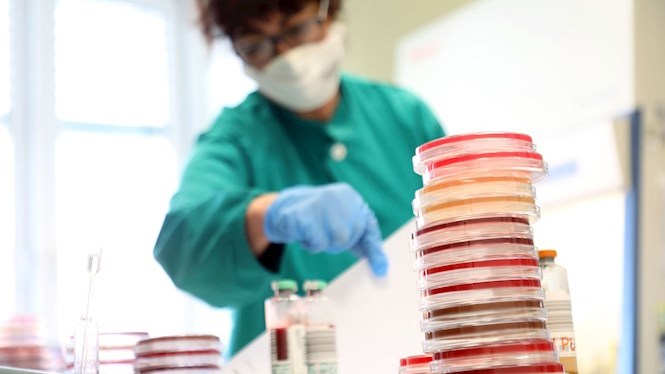 13 nous contagis de coronavirus a les Balears, 1 nova defunció i 17 persones curades