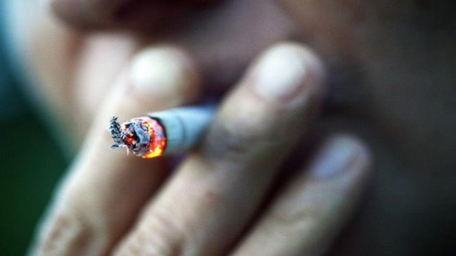 Les+vendes+de+tabac+a+les+Illes+han+caigut+un+56%2525+en+15+anys