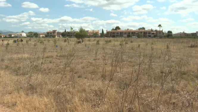 AENA culpa el Govern de no tramitar en temps l’avaluació ambiental del parc solar a Son Bonet i recorre la caducitat del projecte