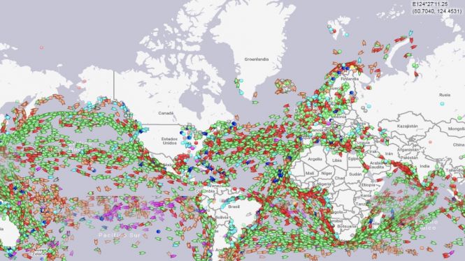 El trànsit marítim passa factura a la biodiversitat de la mar
