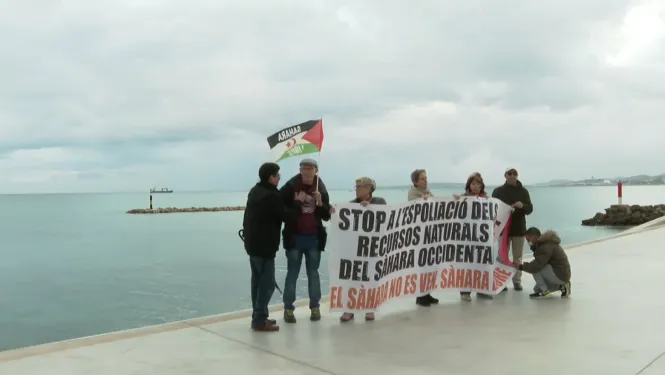 Protesta a Palma contra l’espoli dels recursos naturals del Sàhara