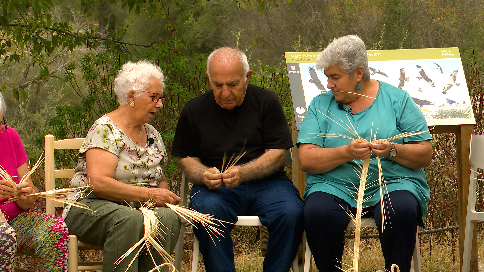 Visitarem les madones de la llata d’Artà, farem feines a una granja ramadera de Menorca i cuinarem llom amb xampinyons al Toro