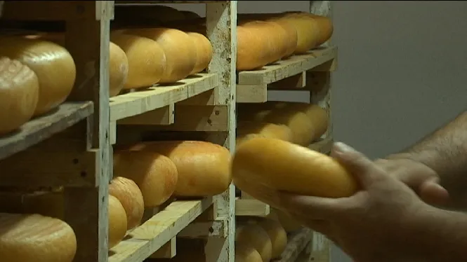 Les organitzacions agràries de Menorca demanen a la indústria formatgera que augmenti el preu que paguen a les explotacions lleteres