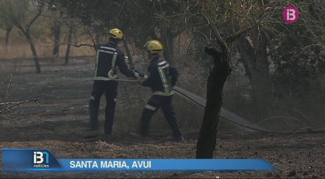 Incendi+a+una+zona+agr%C3%ADcola+de+Santa+Maria