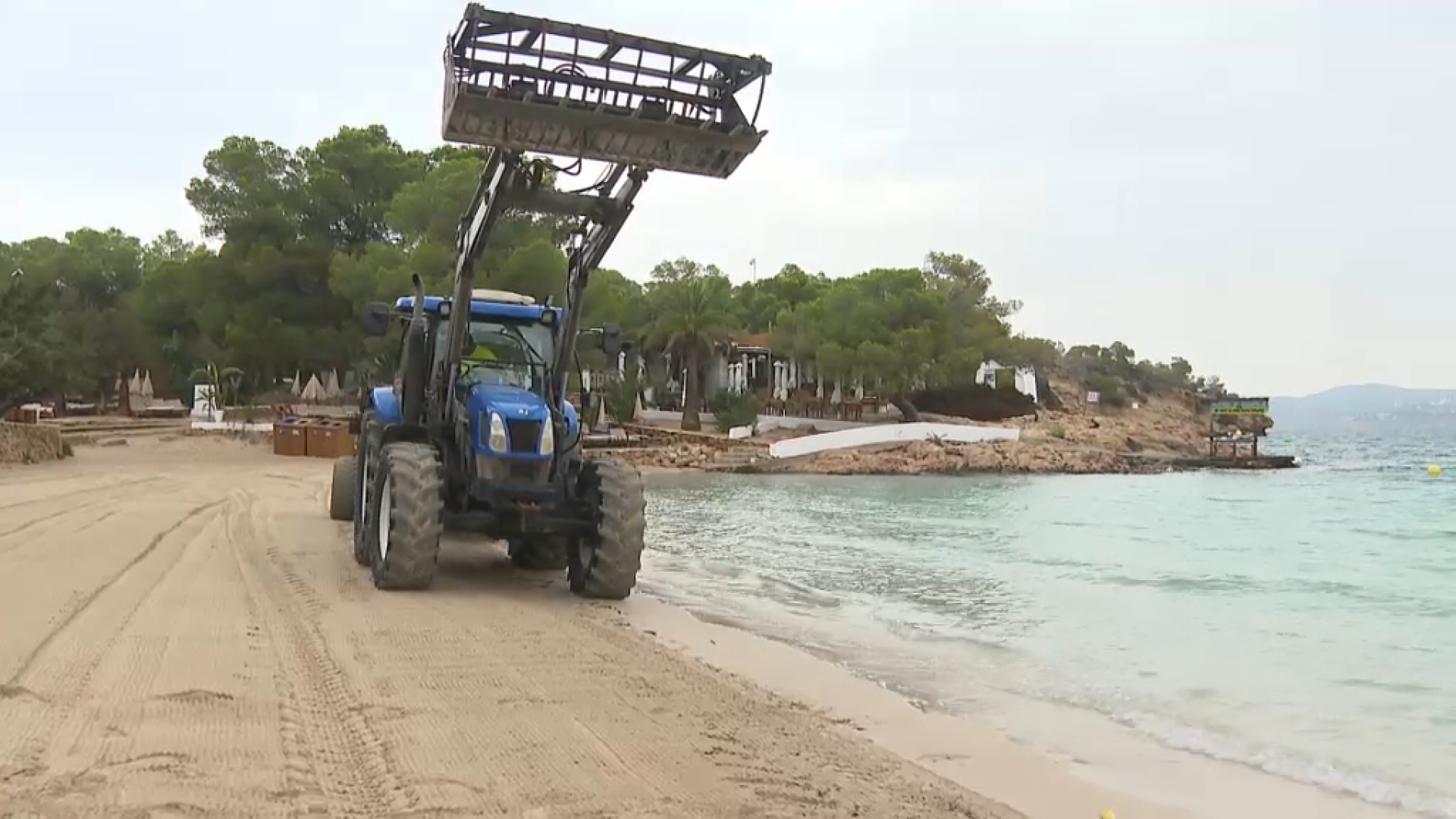 Augmenten+les+queixes+dels+banyistes+per+la+brutor+a+Cala+Bassa+i+Platges+de+Comte