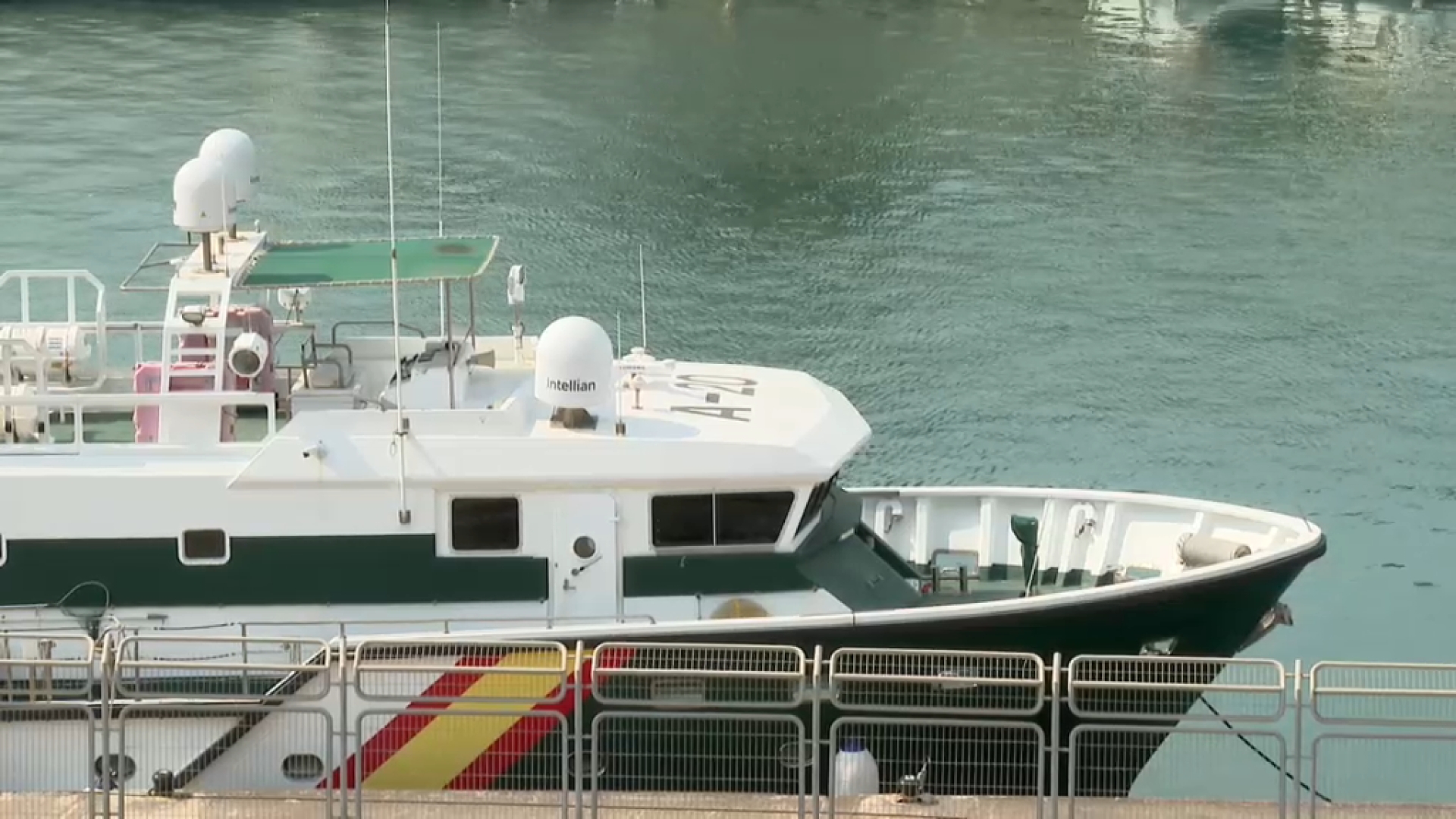 Investiguen la mort de 27 cans de caça en una furgoneta, a bord d’un vaixell a Palma