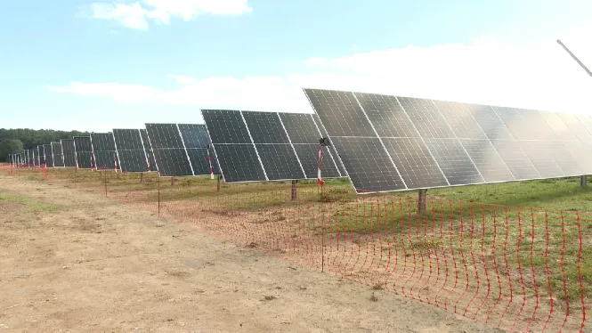 La llarga tramitació per ampliar les subestacions elèctriques de Menorca posa en perill la viabilitat de parcs solars ja construïts